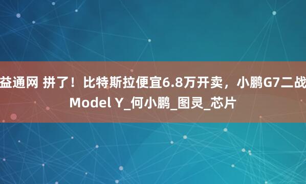 益通网 拼了！比特斯拉便宜6.8万开卖，小鹏G7二战Model Y_何小鹏_图灵_芯片