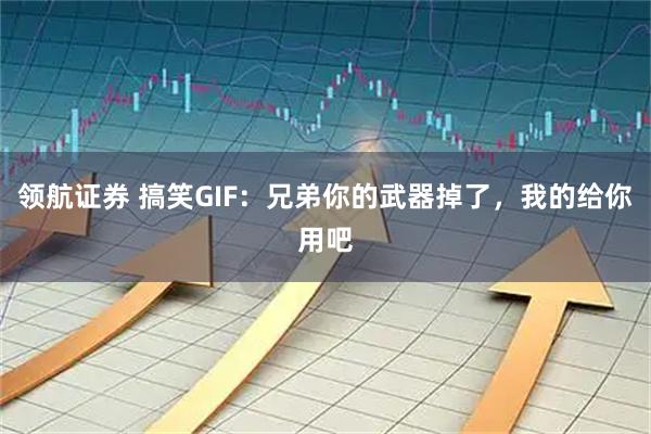 领航证券 搞笑GIF：兄弟你的武器掉了，我的给你用吧