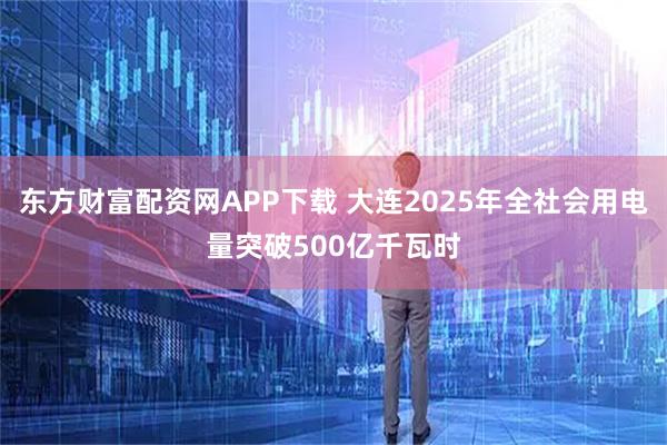 东方财富配资网APP下载 大连2025年全社会用电量突破500亿千瓦时