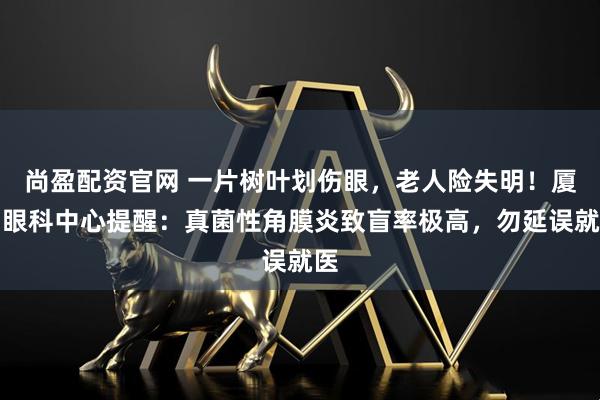 尚盈配资官网 一片树叶划伤眼，老人险失明！厦门眼科中心提醒：真菌性角膜炎致盲率极高，勿延误就医