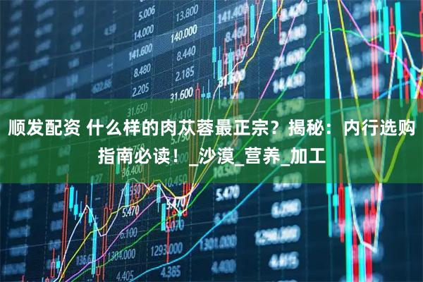 顺发配资 什么样的肉苁蓉最正宗？揭秘：内行选购指南必读！_沙漠_营养_加工