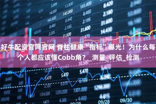 好牛配资官网官网 脊柱健康“指标”曝光！为什么每个人都应该懂Cobb角？_测量_评估_检测
